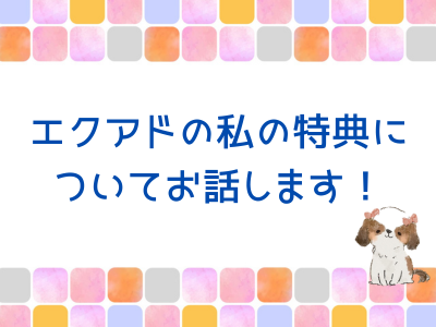 エクアドの私の特典について解説！