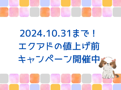 10月31日まで！期間限定キャンペーンがスタートしました