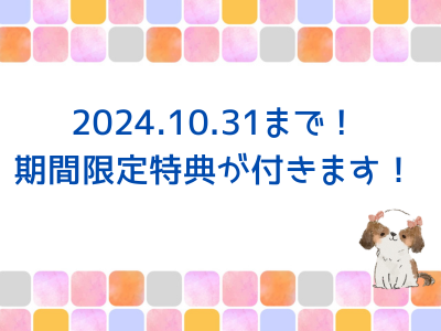 10/31まで：期間限定特典が付きます！