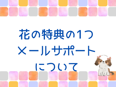 私の個別メールサポートの詳細について