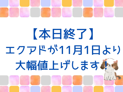 2024.10.31まで！エクアドは明日から大幅に値上げします！