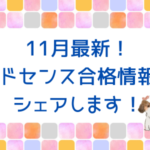 2024年11月最新！アドセンス審査合格情報をシェアします！