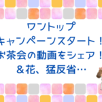 ワントップお茶会の動画をシェア！花、猛反省…